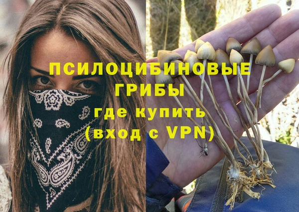 мяу мяу мука Анива