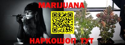 индика Рыбинск