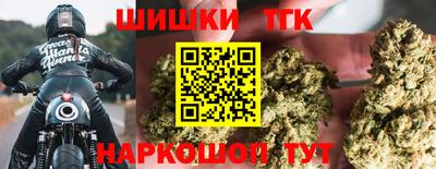 индика Рыбинск