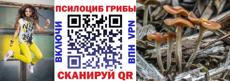 KRAKEN как войти Фурманов Галлюциногенные грибы Psilocybe