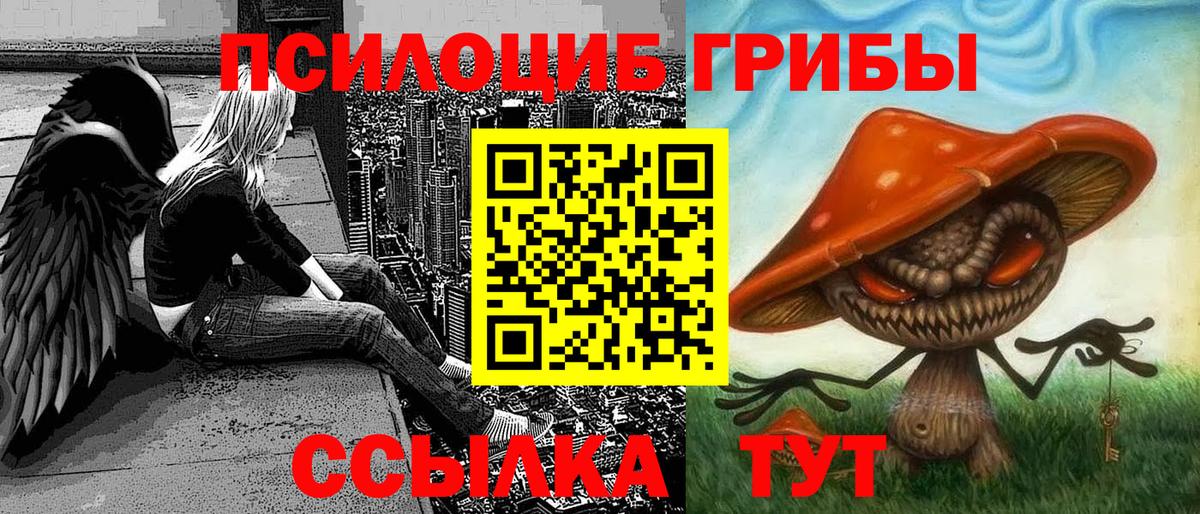 Галлюциногенные грибы Psilocybe Фурманов